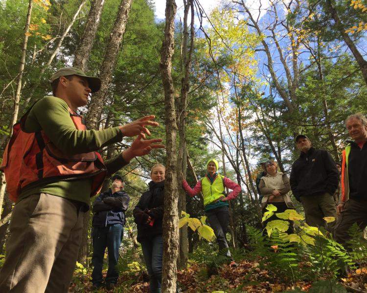 Backyard Woods Field Walk with Chittenden County Forester, Ethan Tapper