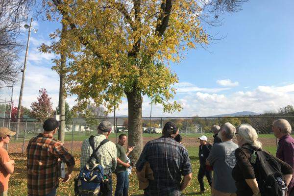 Tree Warden Summit Middleburry 2021