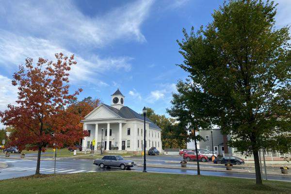 Lyndonville trees