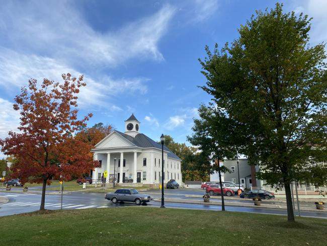 Lyndonville trees