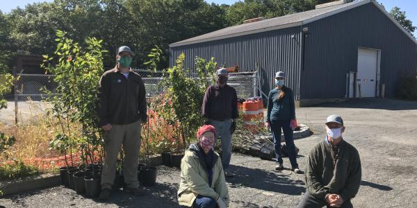 Brattleboro Tree Committee Volunteers