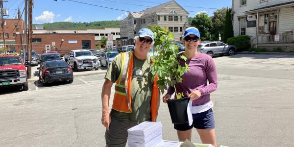 Tree Pick Up Event in Montpelier