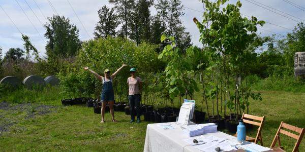 Community Canopy Pick Up Event